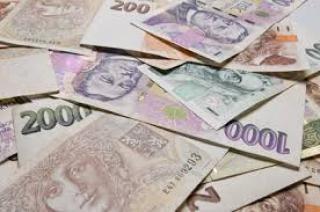 Finanční pomoc s pojištěním. 