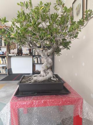 Nabízím pultový mrazák Candy CMCH 200 D