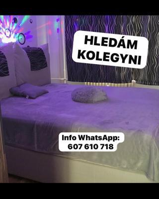 Hledám kamarádku na PRIVÁT