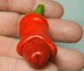 Chilli Pepper Peter Red - semena